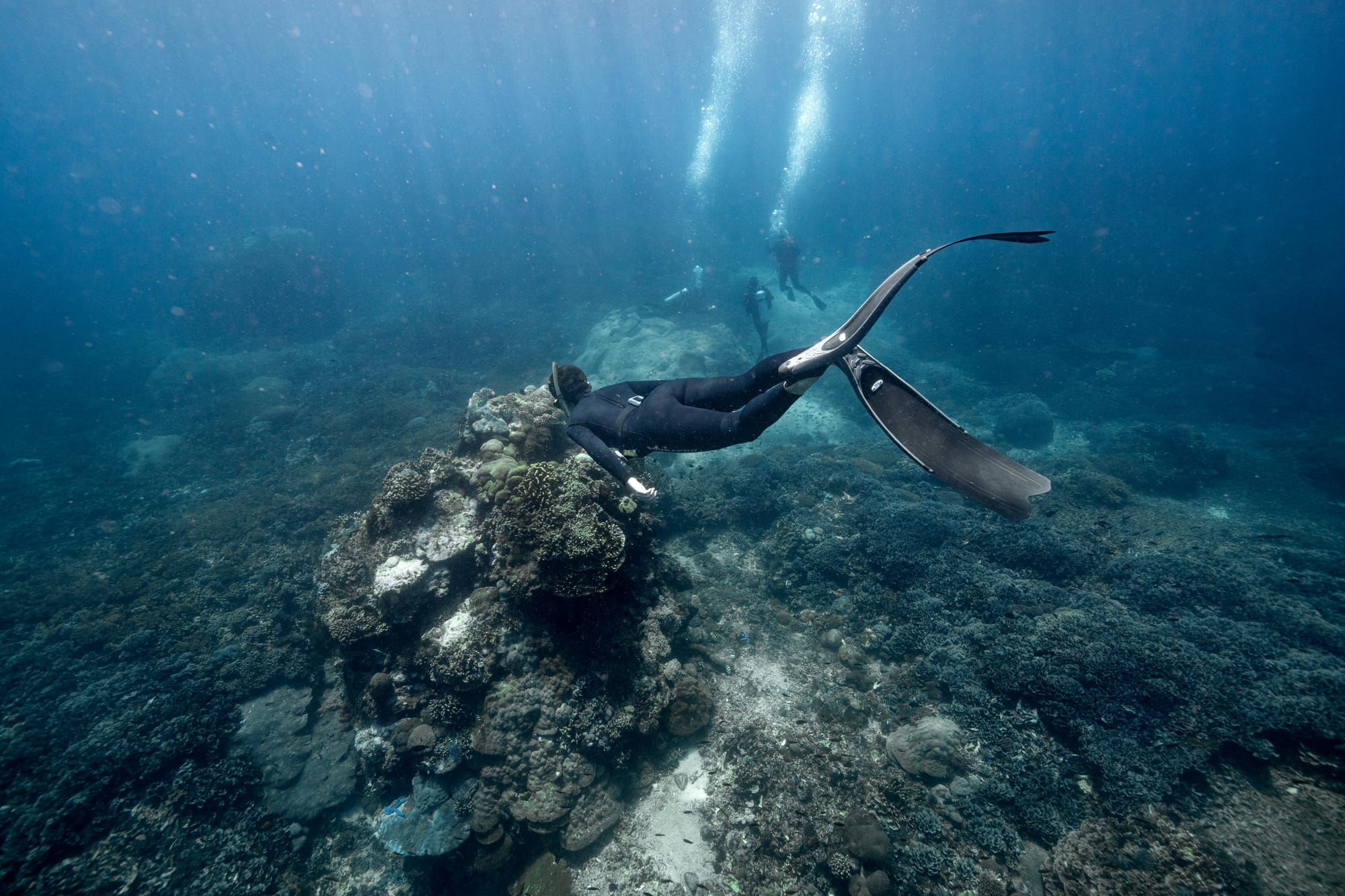 Freediving: Eine neu entdeckte Liebe