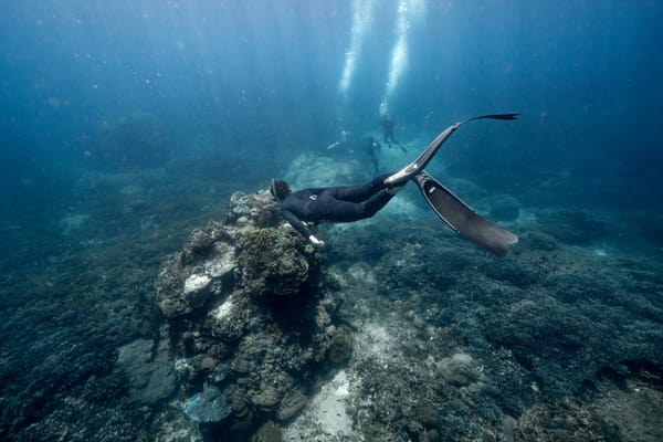 Freediving: Eine neu entdeckte Liebe